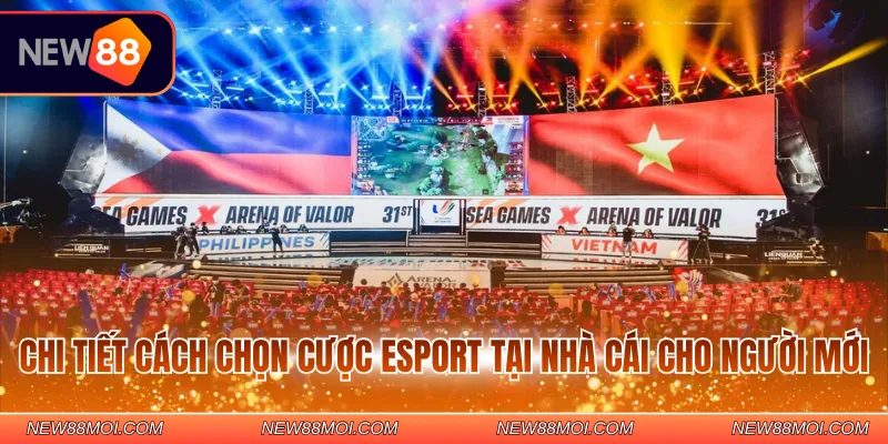 Chi tiết về luật đặt cược của game Baccarat