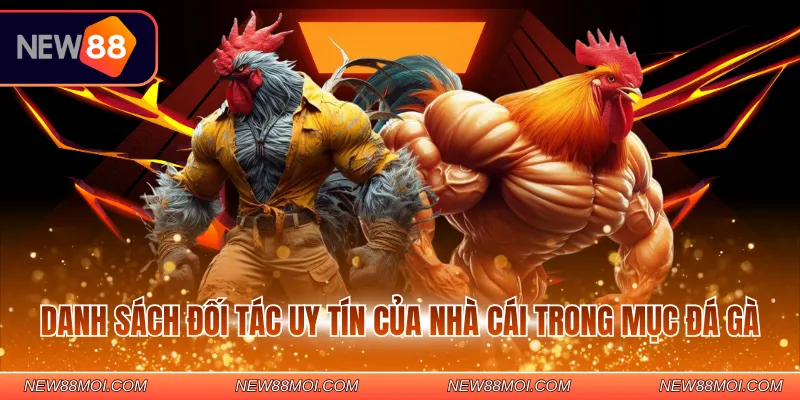 Danh sách đối tác uy tín của nhà cái trong mục đá gà