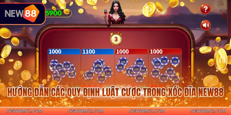 Hướng dẫn các quy định luật cược trong Xóc đĩa New88