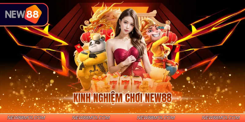 Kinh nghiệm chơi NEW88