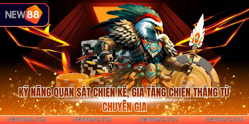 Kỹ năng quan sát chiến kê, gia tăng chiến thắng từ chuyên gia