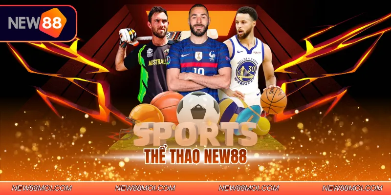 Thể thao New88